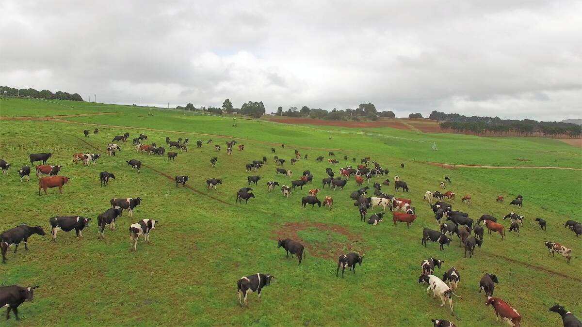 FIELD DAY: Elliott Farm will welcome visitors at its Smarter Farming Field Day. Picture: Supplied