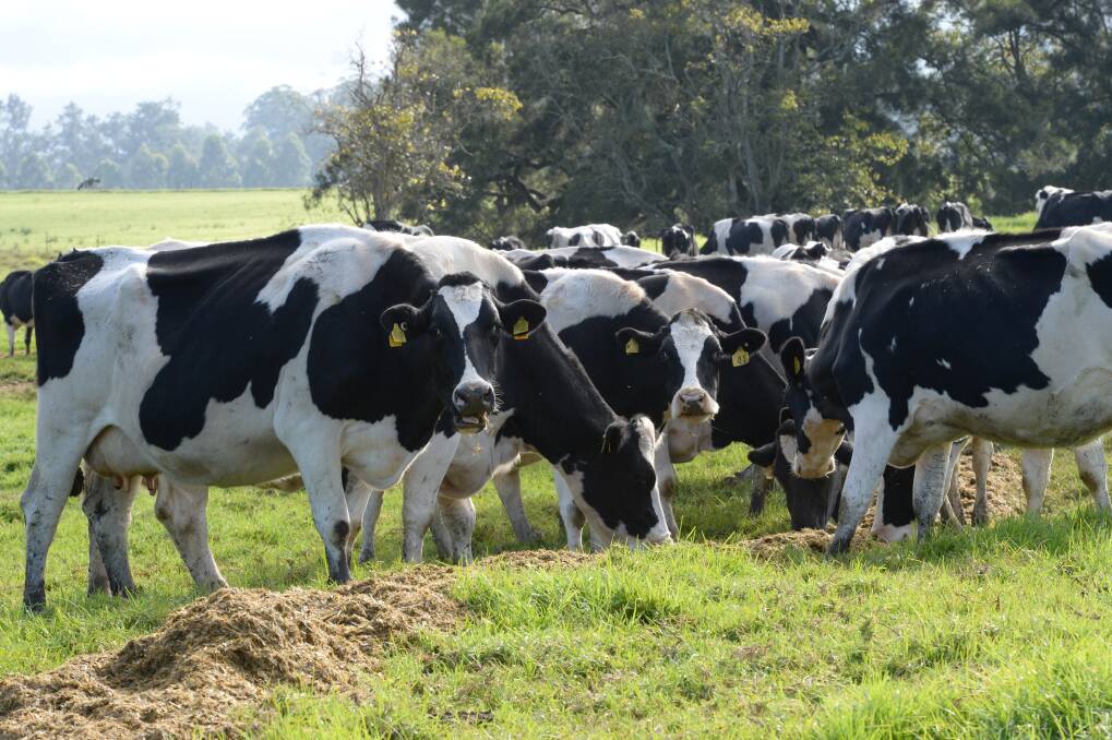 Dairy Australia has forecast an increase in the national milk pool to nine billion litres. 