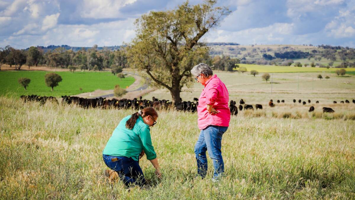The program is designed to share knowledge and build drought and climate resilience in rural communities throughout Australia.
