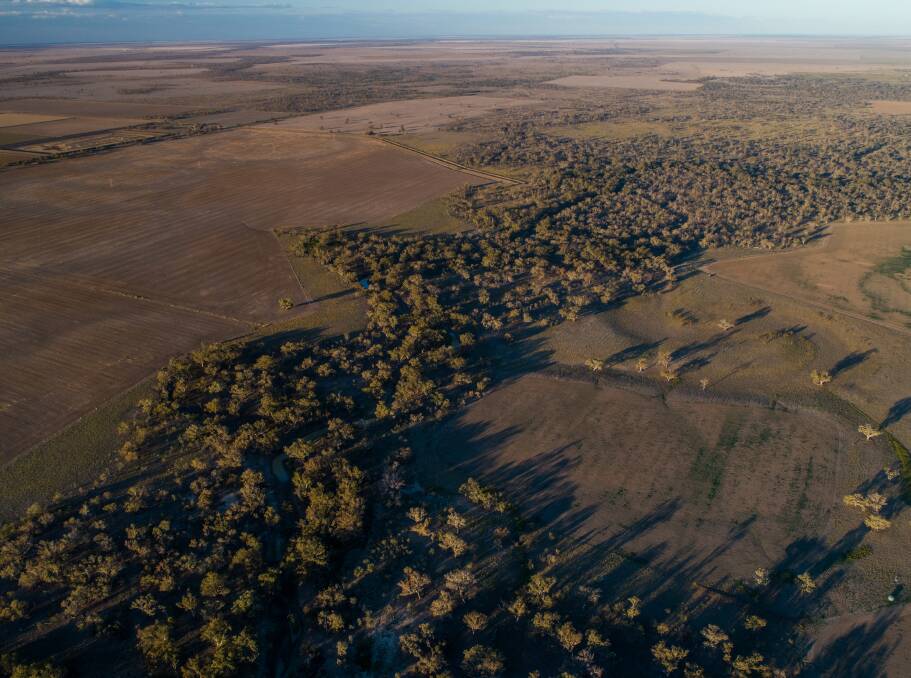 GREEN MONEY: Caring for the vegetation along the Namoi River is now reaping commercial dividends for farmer and agronomist Greg Rummery. Photo: Colin Elphick