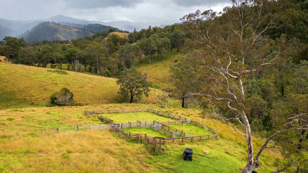 Grazing, timber or tourism at the iconic Eaglehawk