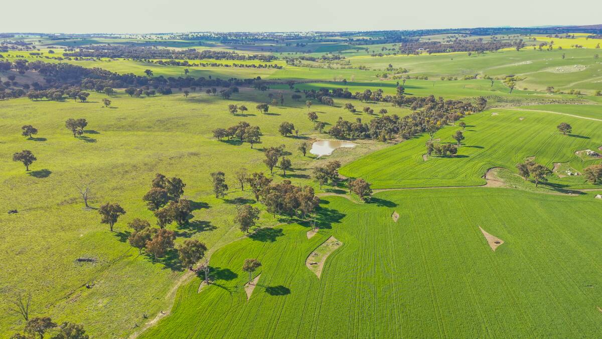 New land price record at Young