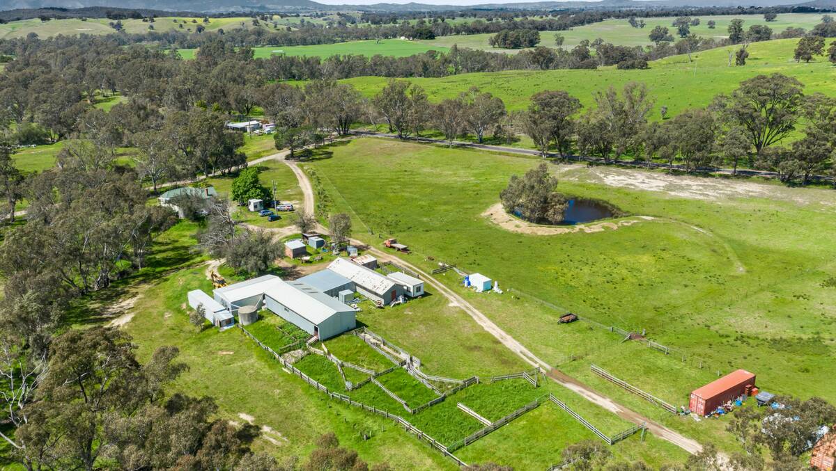 WOOLY ESCAPE: The 370-hectare Cranley near Kilmore is available as a whole or in three lots, appealing to farmers and lifestylers alike.
