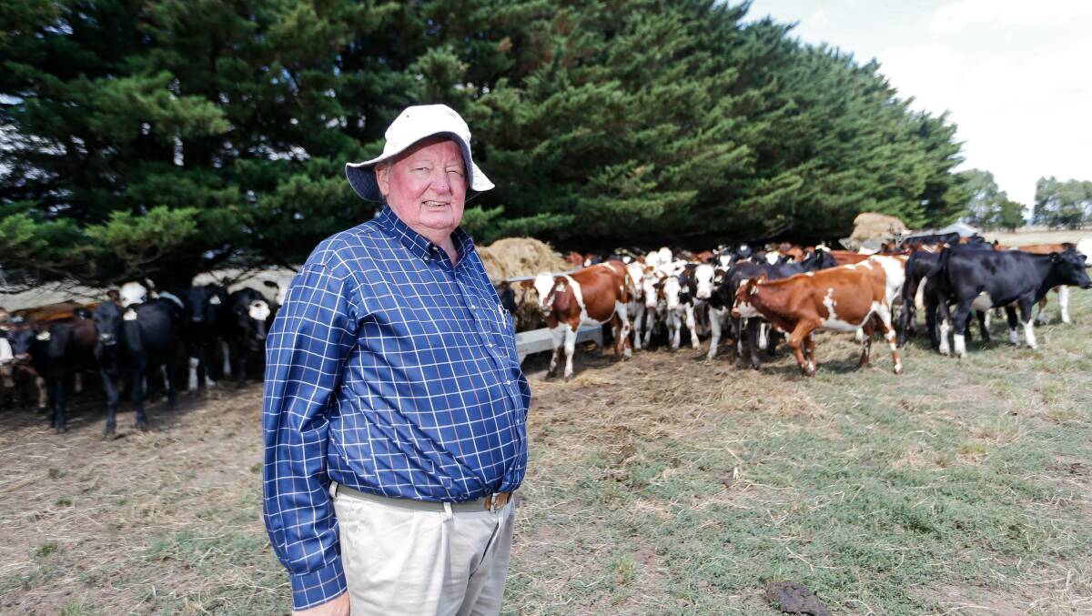 Former UDV Corangamite branch secretary and dairy farmer, Ian Morris. Picture: Anthony Brady