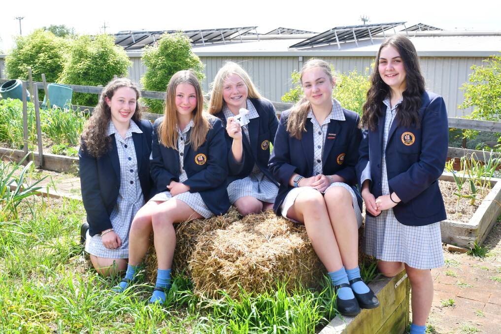 Success: St Brendan-Shaw College students Madeline Brown, Jasmine Wilden, Tiki Lee, Emily Doran and Madeleine Simpson created a commercial, which won the class $1000. Picture: Brodie Weeding.