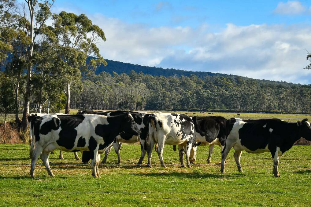 Nominations open: Dairy Tasmania is asking for nominations as soon as possible.