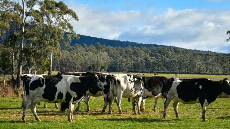 Nominations open: Dairy Tasmania is asking for nominations as soon as possible.