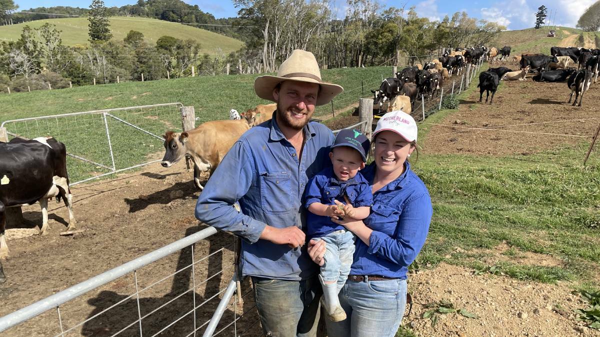 Jesse and Tahnee Tosh, with son Jack, and some of their dairy cows they run on shared land at Dorrigo.