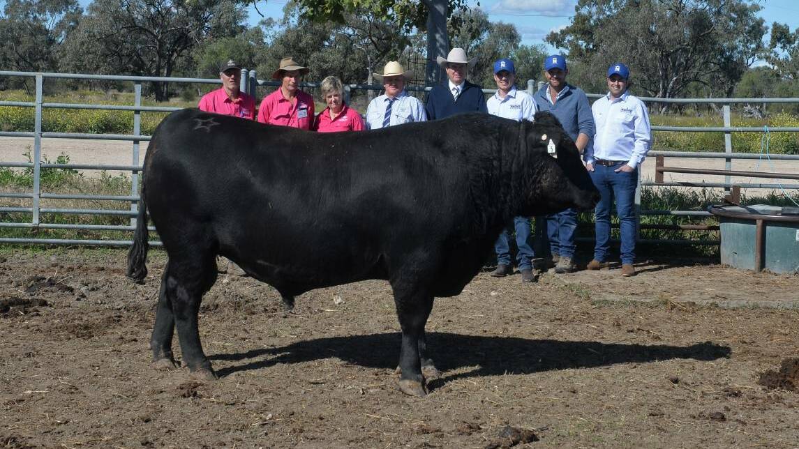 The $65,000 top-priced bull Te Mania Reno R891 with James McCormack, Hamish, and Amanda McFarlane, Te Mania, Chris Clemson, Clemson Hiscox and Co, Walgett, Paul Dooley, Tamworth, and purchasers Jack Mackenzie and Joel Muddle, Macka's Beef, Gloucester, with agent Rodney McDonald, Bowe and Lidbury, Maitland.