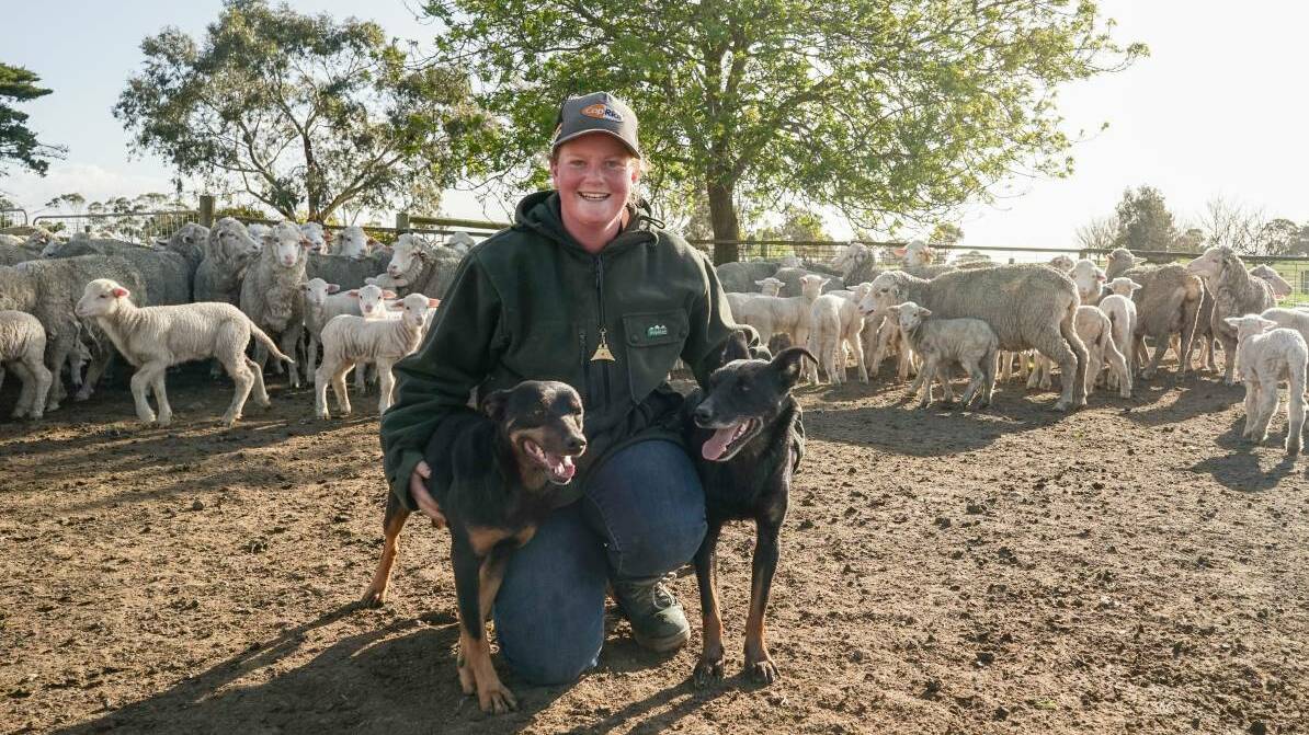 Bree Cudmore, pictured with Marista Zoe and Larnach Moana, has made her mark in working-dog breeding. Picture: Rachel Simmonds.