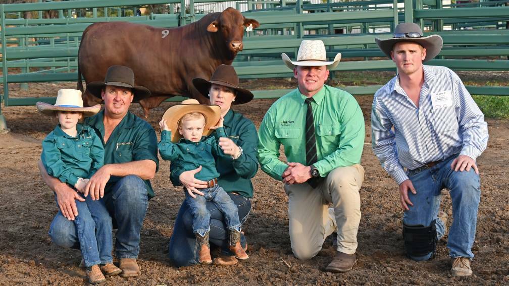 Vendors, Lilly, Ben, Mitchell and Amanda Adams, Dangarfield Santa Gertrudis stud, auctioneer Colby Ede, Nutrien Ag Solutions, Toowoomba, and buyer on behalf of Ryalsea Santa Gertrudis stud Lachlan Martin, Inverell, NSW with the top price bull. Picture: Billy Jupp