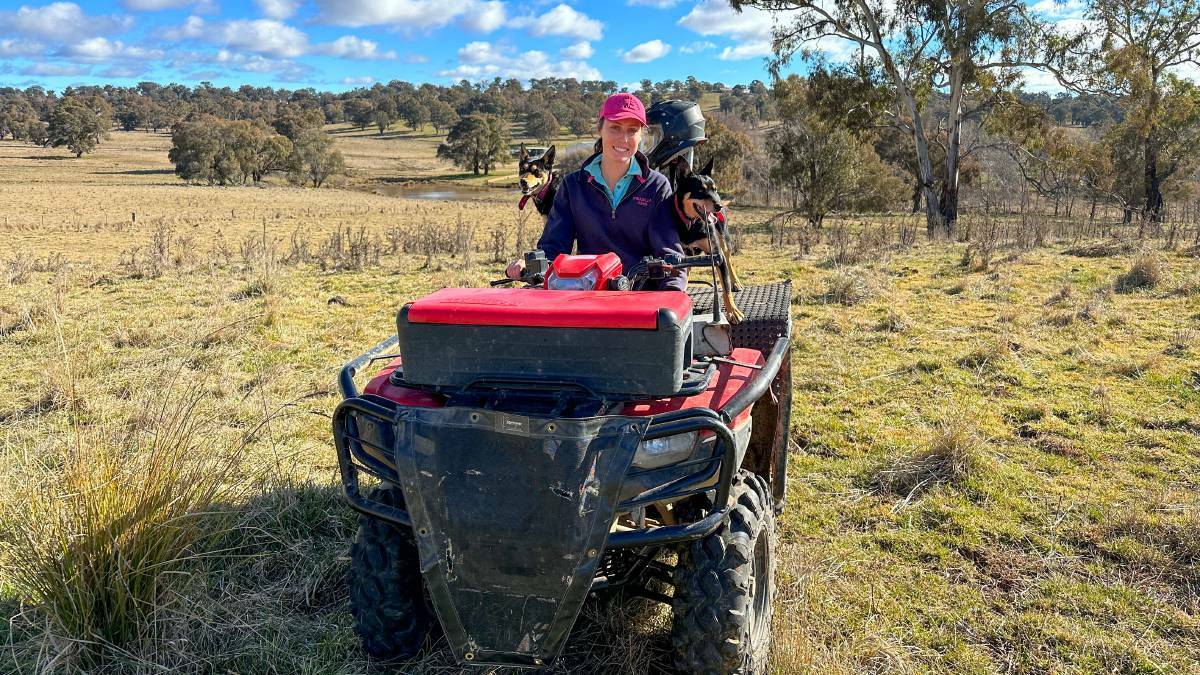 Lucy Morris dreamed of working in agriculture, now she has two Kelpies and a couple years of experience at Wirribilla, Walcha, under her belt. Picture: Elka Devney.
