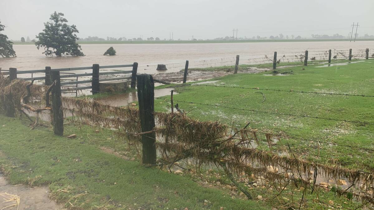 The Stocks' Lockyer Valley dairy farm was heavily affected by the February 2022 floods which hit south east Queensland.
