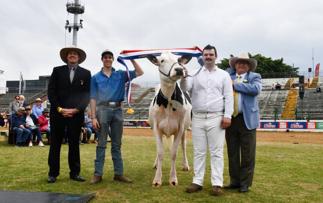 Supreme champion intermediate dairy, Majuba Doc Lightning, exhibited by Peter and Jessica Garratt, Southbrook, Qld, led by Kieran Coburn, with Malachai Garratt, presented by RNA cattle president Gary Noller and judge Kelvin Cochrane, Gympie, Qld. Picture by Clare Adcock