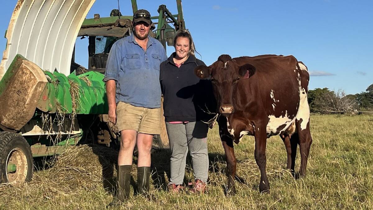 Tiffany McLauchlan met Liam Ackerley in 2021 "down at the pub" but their relationship grew over a shared love of dairy farming. Picture supplied.