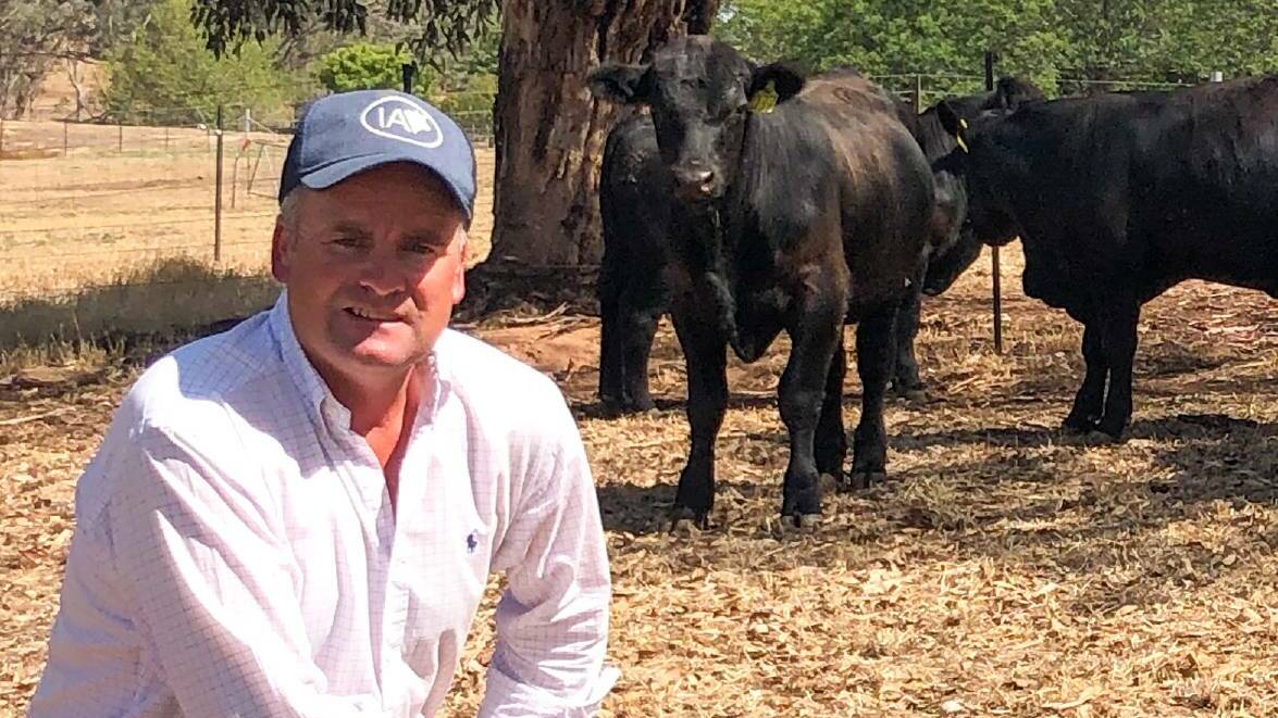 Riverina cattle breeder Corey Dean Ireland is facing fresh fraud charges in the Wagga Local Court. File picture