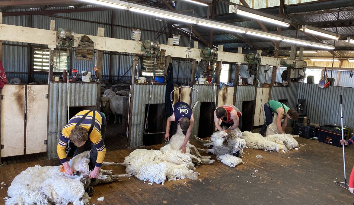 Australian sheds need overseas workers, according to Shearing Contractors of Australia secretary, Jason Letchford.