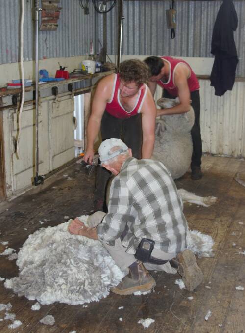 The wool industry looks to overseas workers to help with wool harvesting. Picture supplied