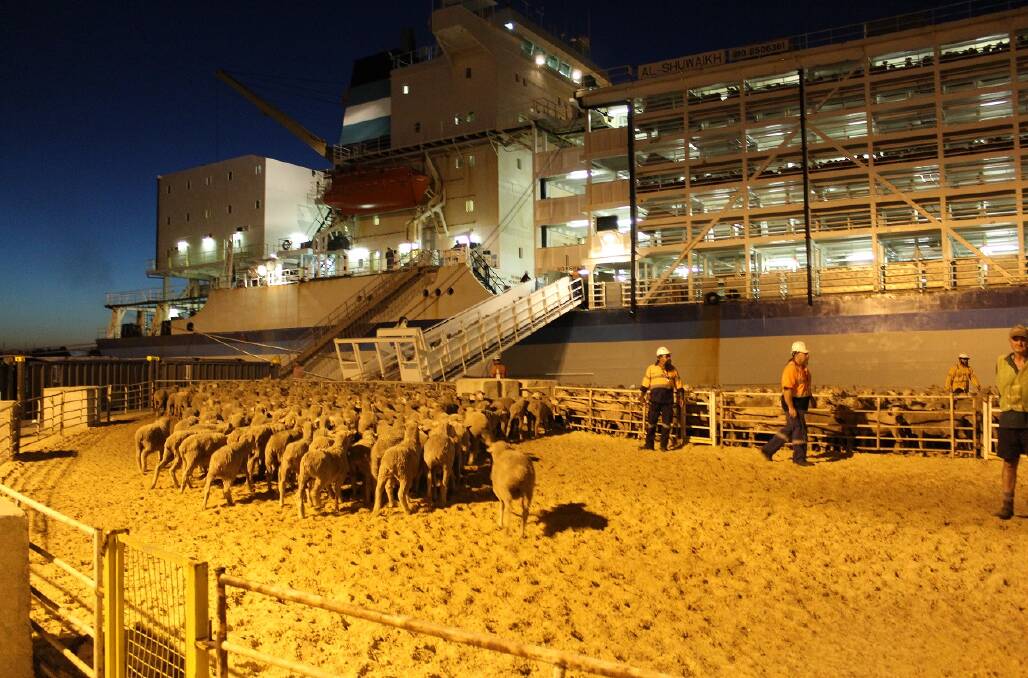 The live export debate is back in the spotlight after comments by the Minister for Agriculture this week. Picture supplied.