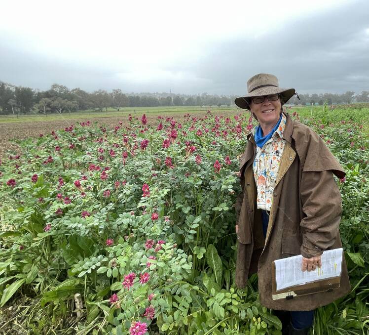 Dr Suzanna Boschma with a plot of chicory and sulla at the Tamworth Ag Research station at the Grazing towards 2030 field day.