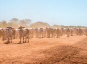 Australia's newest weapon against biothreats to the country's agriculture industry, such as the recent Foot and Mouth disease (FMD) outbreak in Indonesia, will be based in the Northern Territory.