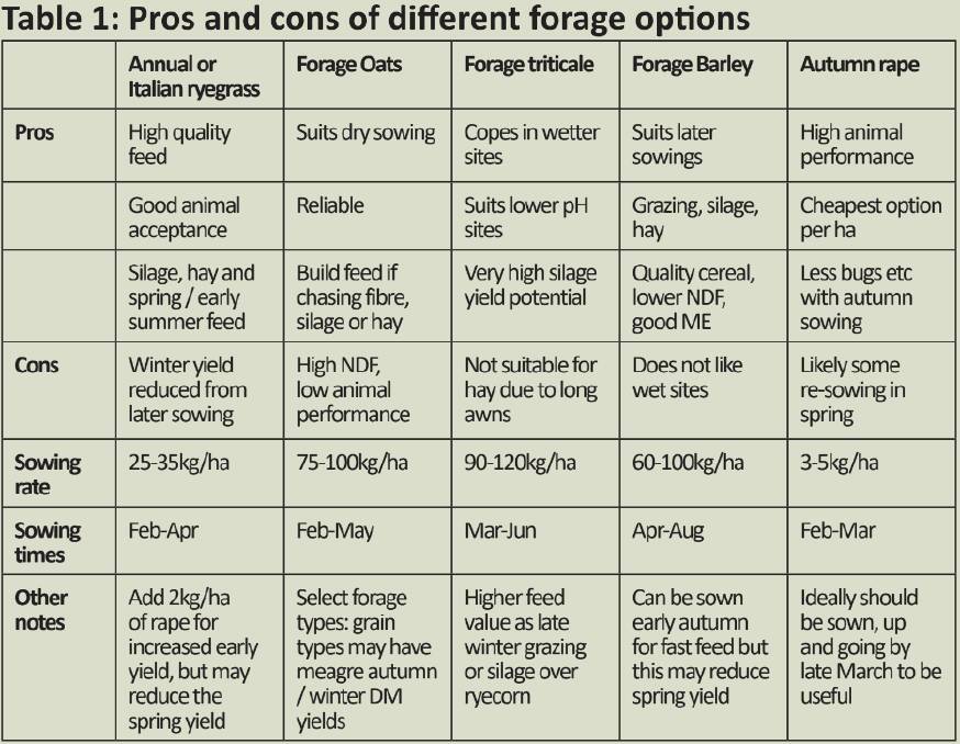 The pros and cons of different forage options.