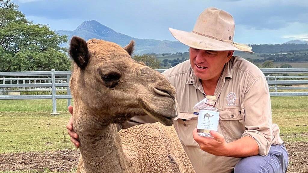 Paul Martin shows Evie the camel a bottle of vodka made using the whey from camel milk. Picture: Supplied Summer Land Camels