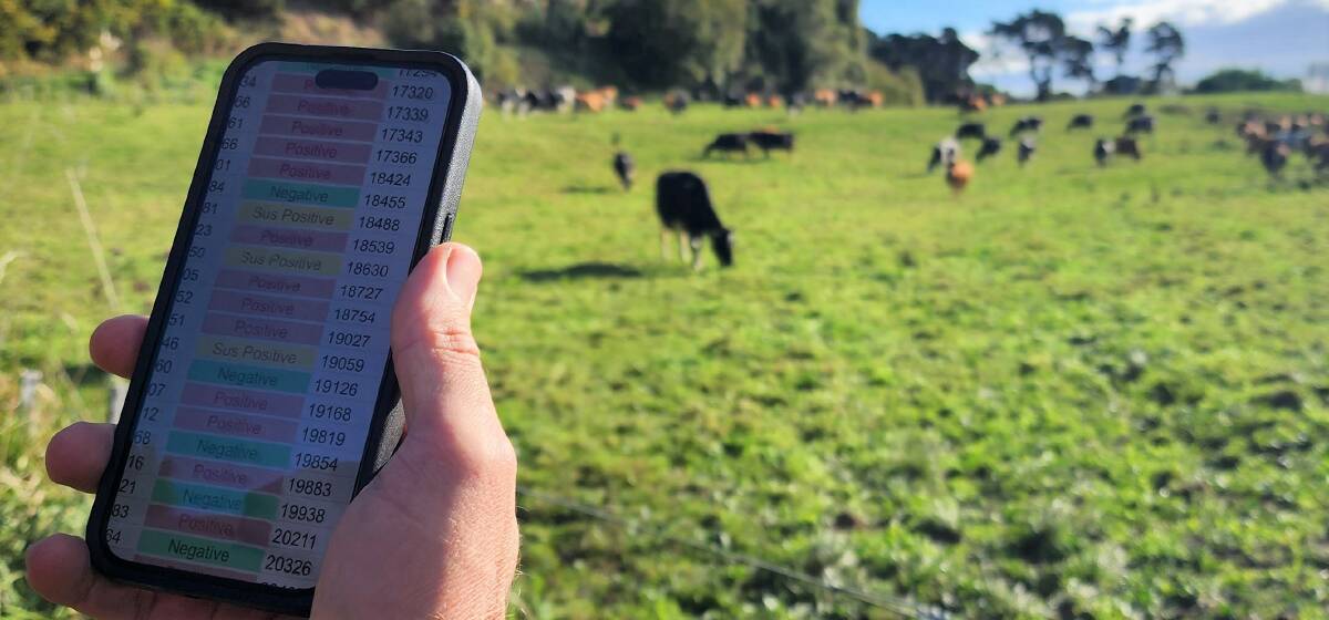 Accurate data enables farmers to manage their milking herd and dry cows for production and performance. Picture supplied