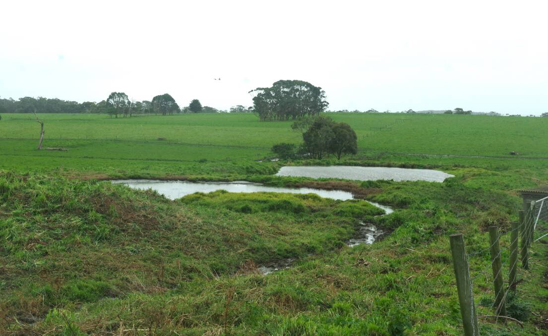 Peter Young at Buffalo (Vic) has two effluent ponds and is planning to double their capacity to four ponds. Picture by Jeanette Severs 