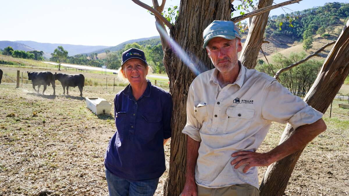 Cousins and beef producers Loretta and Julian Carroll, Myrtleford, are calling on the Federal Government to increase transparency within the industry. Picture by Rachel Simmonds