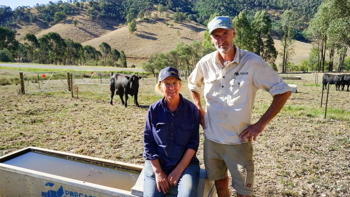 Beef producers and cousins Loretta and Julian Carroll, Mudgegonga, say there is still a lack of progress in recommendations made to the beef industry six years ago. Picture by Rachel Simmonds