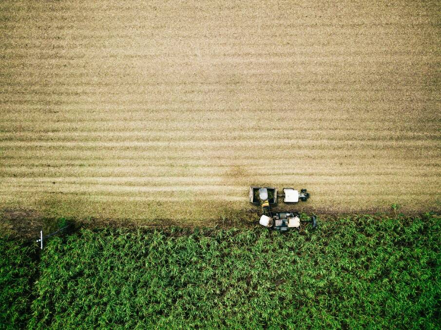 A CSIRO report presents four future pathways for the agricultural sector. Picture supplied