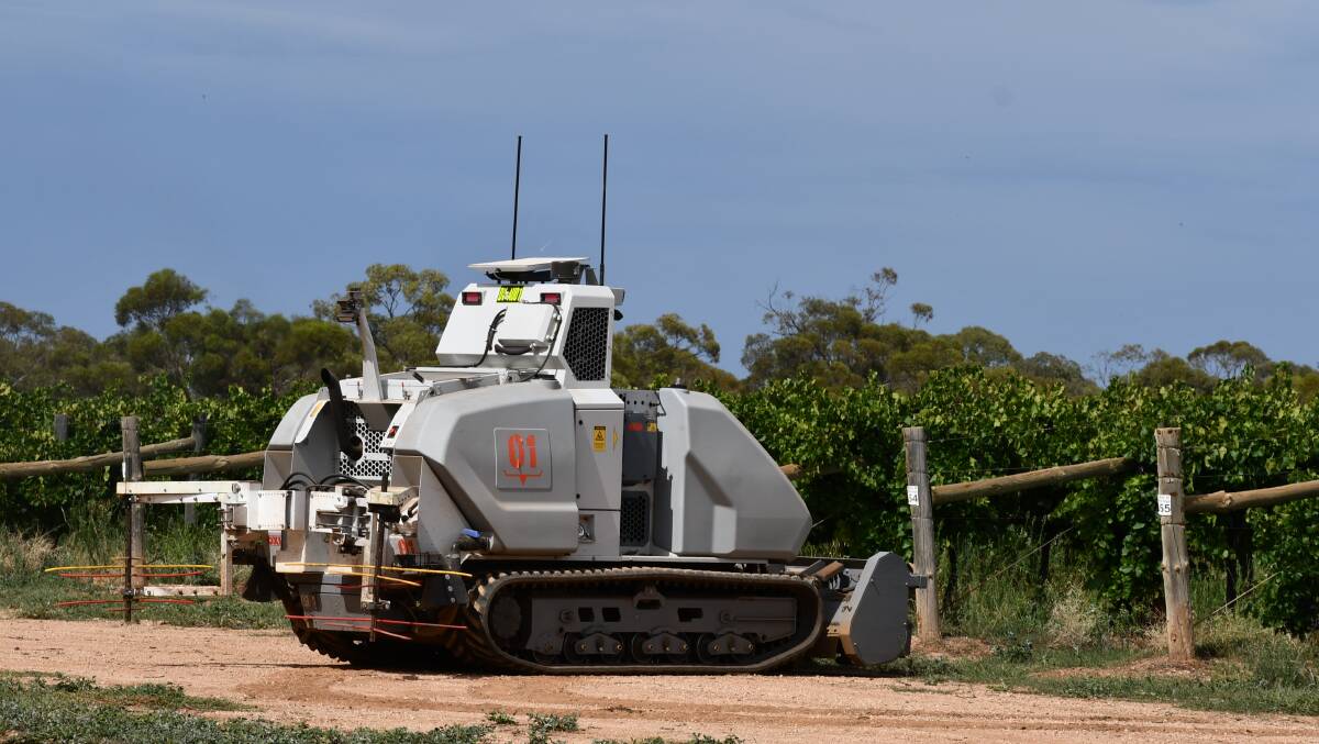 The OXIN autonomous tractor, which is being trialled in Duxton's Euston vineyard in NSW. Picture Paula Thompson