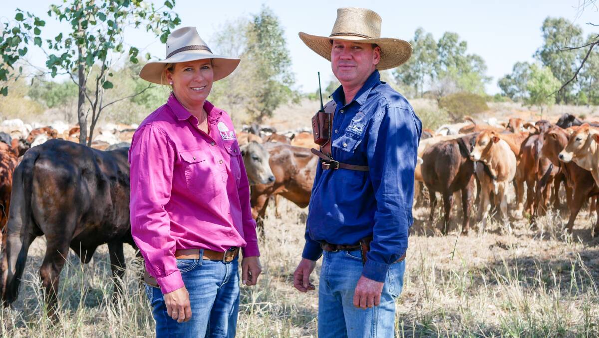 Coonabar's Gibson family buys time to rain through pasture budgeting
