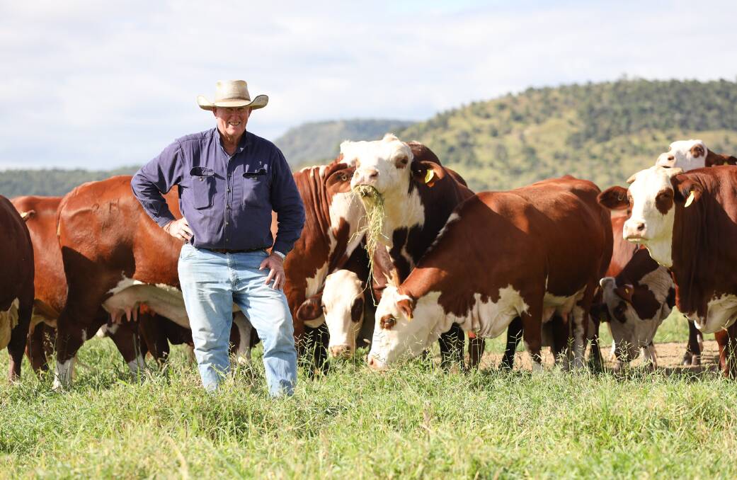 Larry Acton with some of the Braford cows and a stud bull that he sold last year. Picture: Georgie Connor