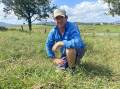 Canungra Dairy farmer Tom Brook with one of many fire ant nests on his property. Picture: Supplied