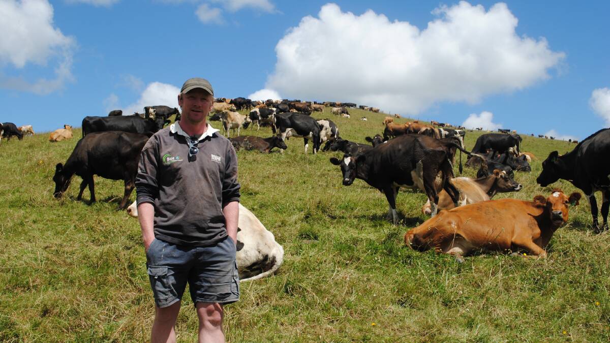 Dairy farmer Brian Corr has plans to milk 600 crossbred dairy cows at Moyarra, Gippsland. Picture by Barry Murphy