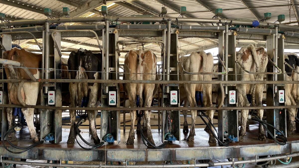 VFF president Bernie Free said there was more to dairy industry careers than just milking cows. Picture by Barry Murphy