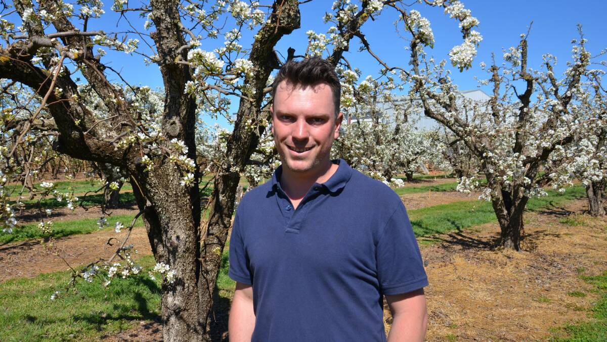 Fruit Growers Victoria chair Mitchell McNab. Picture by supplied.