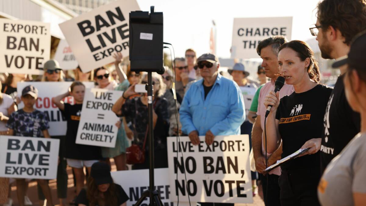 Anti-live animal export activists protest at Fremantle Port on January 30. Picture supplied by Stop Live Exports.