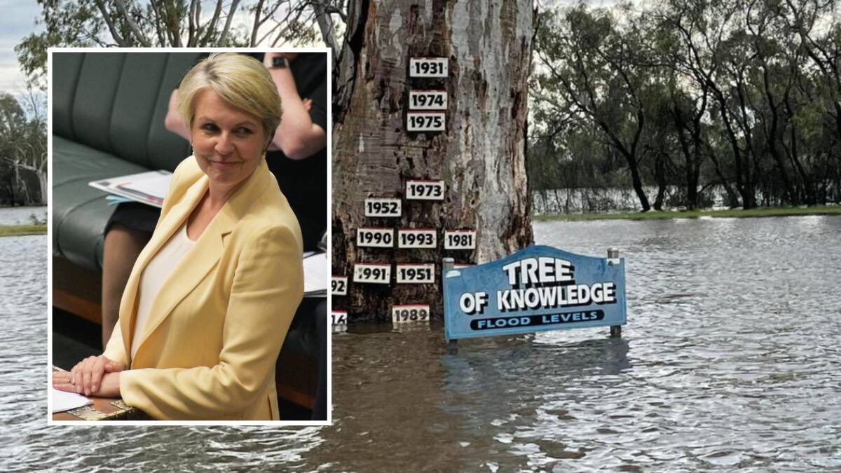 Federal Water Minister Tanya Plibersek has sealed a "Bridging the Gap" deal with the ACT government.