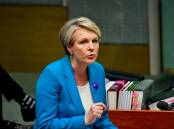 Federal Environment Minister Tanya Plibersek has unveiled the nation's first independent Environmental Protection Agency. Picture by Elesa Kurtz.