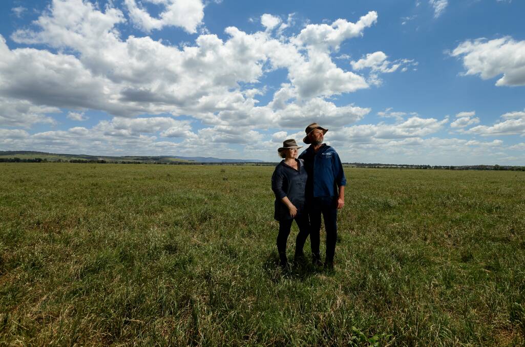 Partners in life and business: Christine McKanna-Farr and Andrew Farr in one of the paddocks of the Hunter River dairy farm they operate on the outskirts of Singleton. Picture: Jonathan Carroll