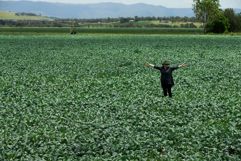 New ways: Christine McKanna-Farr in a field of brassicas at the dairy farm. Picture: Jonathan Carroll
