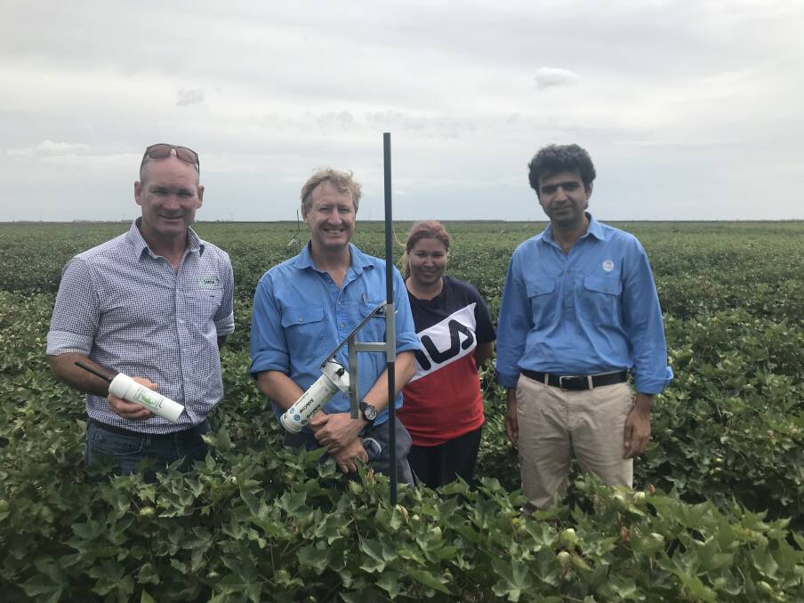 Cotton on: Tom Dowling from Goanna Ag holding the new temperature sensor, with CSIRO researchers Michael Bange, Victorial Smith and Hiz Jamali.
