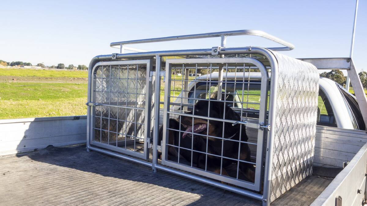 SAFE AND SOUND: The heavy duty lockable Selecta Carryall Cage from Silvan Australia provides for safe and secure containment of dogs. 