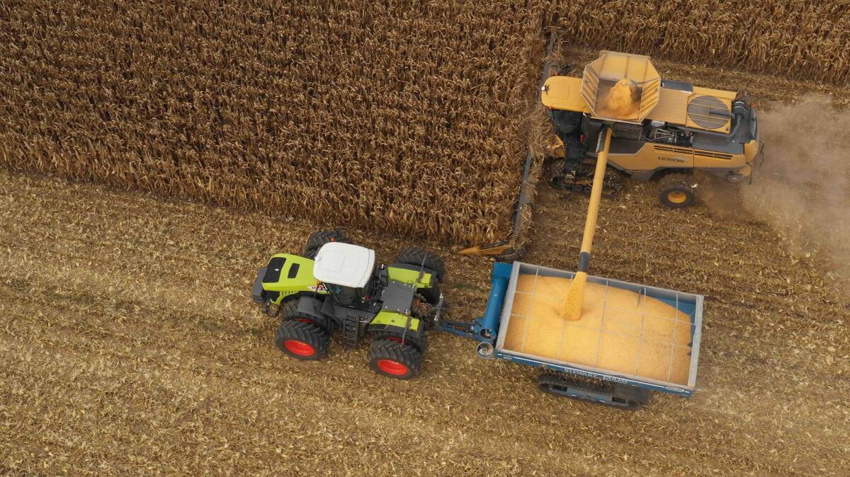 The Claas Lexion 760 Terra Trac harvester, equipped with a 16-row corn front, averaged 135 tonne an hour, or one truckload every 12 minutes. 