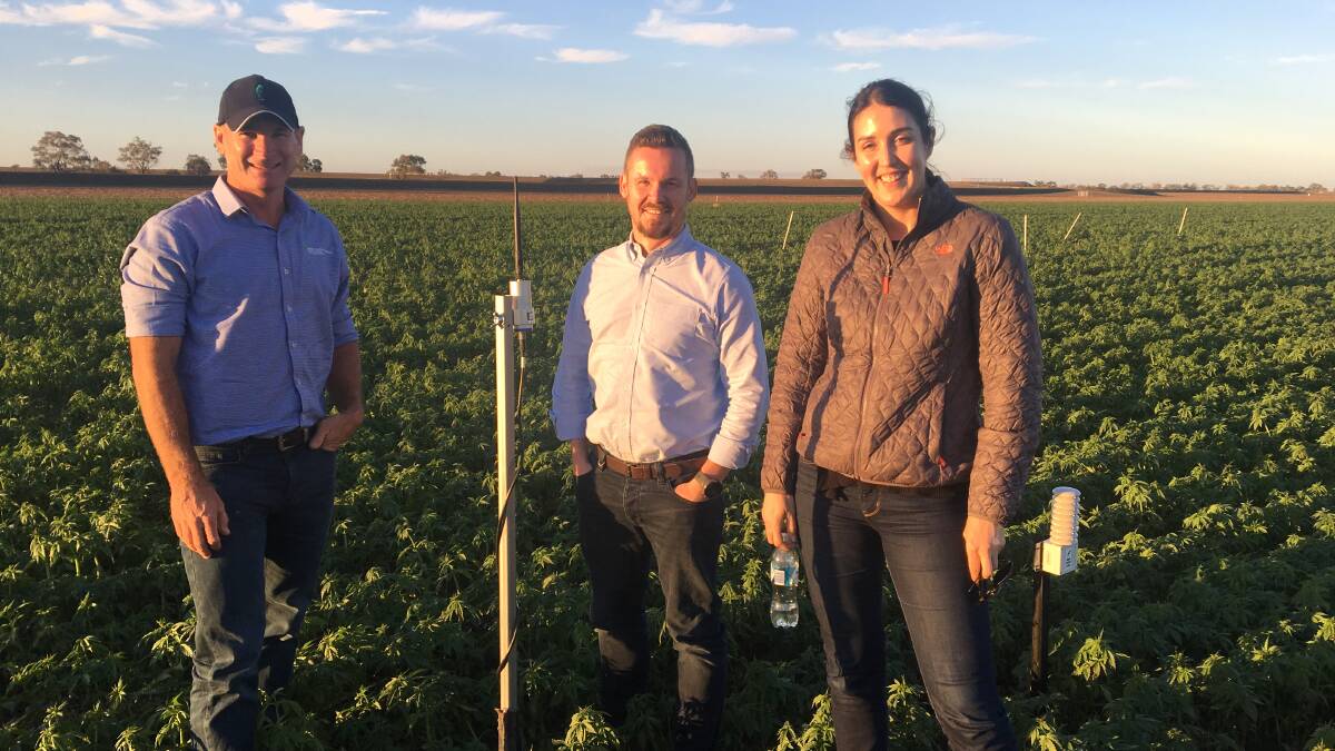 Tom Dowling, general manager, Goanna Ag, Anthony Potts, director principle investments, Westpac and Alicia Garden, CEO of Goanna Ag check out a Goanna connected moisture sensor.
