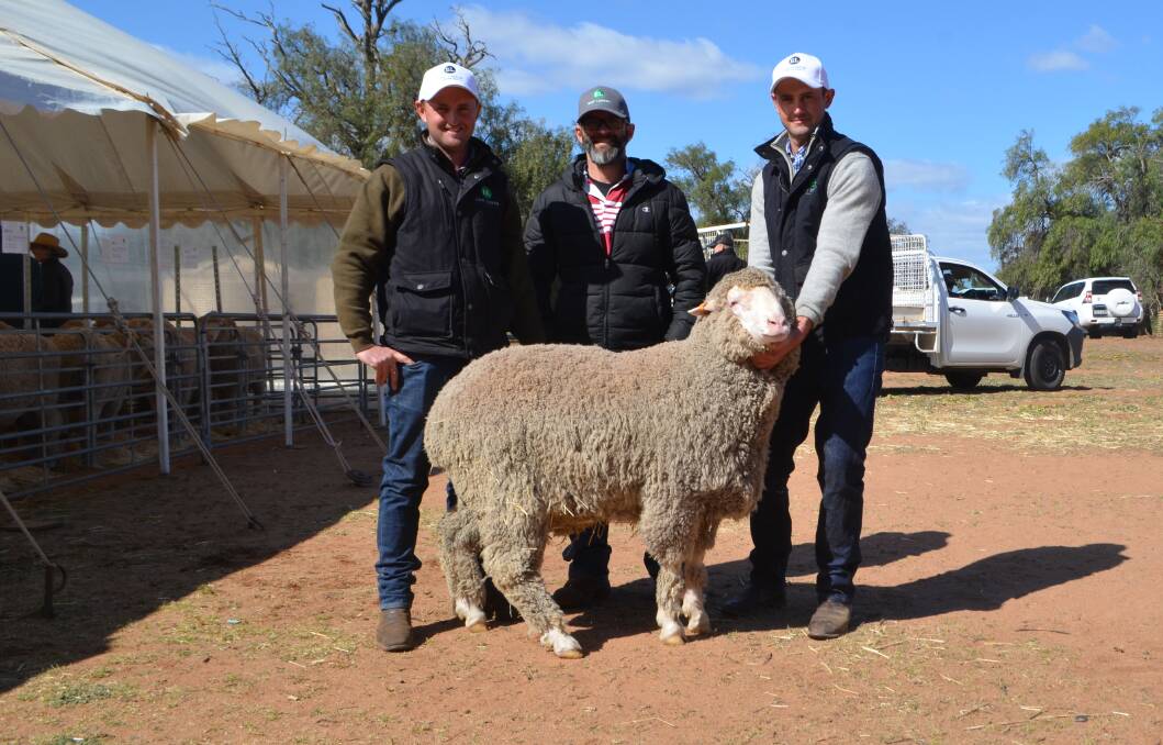 Buyer Stewart Warner, Beechworth, flanked by Marcus and Tom Hooke, East Loddon Merinos, Wanganella, with the top priced ram which sold for $5750.