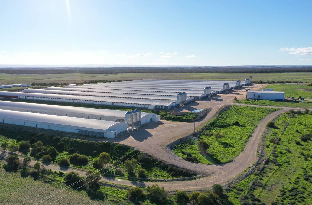 One of AAM's newly acquired Murray Bridge district chicken farms